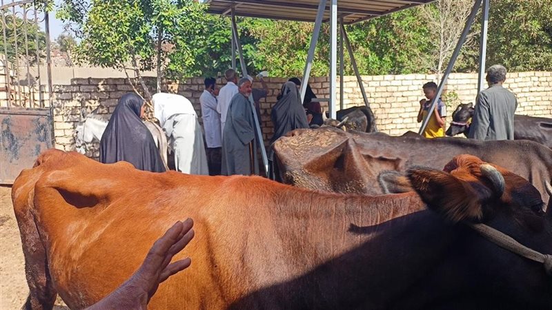 «الزراعة» تنفذ قافلة