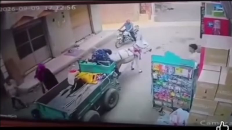 جانب من الواقعة 