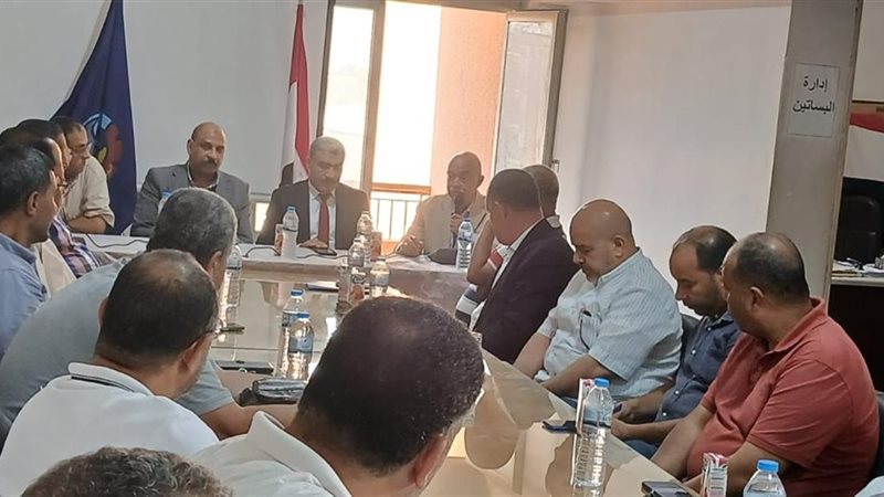 بحث التوسع في إنتاج