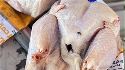 التحفظ على 6 أطنان دواجن فاسدة داخل ثلاجة غير مرخصة بالعبور