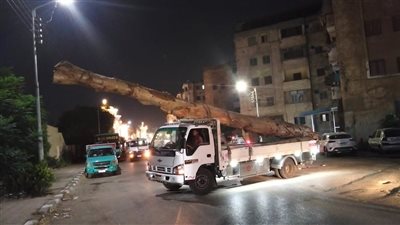 ضبط سيارة محملة بأخشاب كافور معمرة بالدقهلية وقرار عاجل من المحافظ
