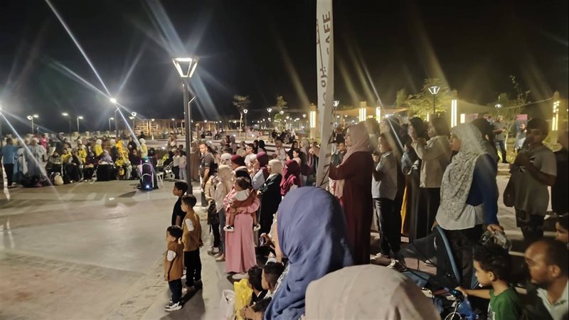 قنا،فيتو