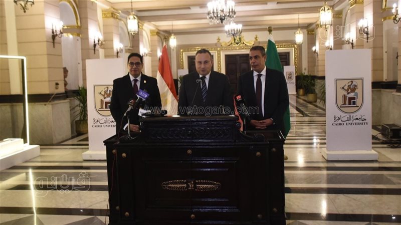 د. عبد العزيز قنصوة