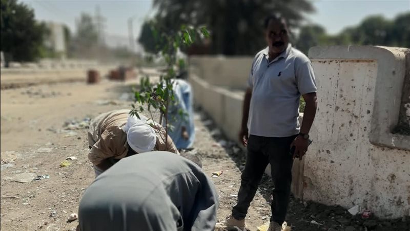 أعمال التشجير بأسيوط،