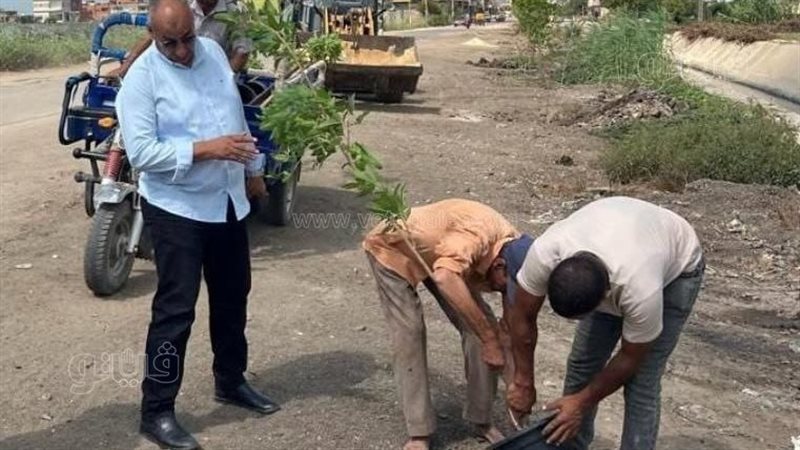 زراعة الأشجار بالشرقية،فيتو