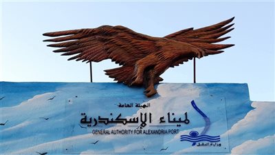 استقبال ومغادرة 41 سفينة بميناء الإسكندرية خلال 24 ساعة 