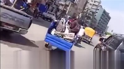لم ينشغل بالترند، قصة مطاردة شاب لـ 3 سيدات سرقن أجولة أرز من مزرعة في أبو حماد (فيديو وصور)