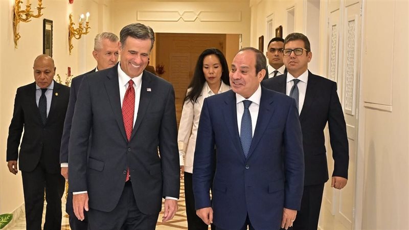 لقاء السيسي ومدير