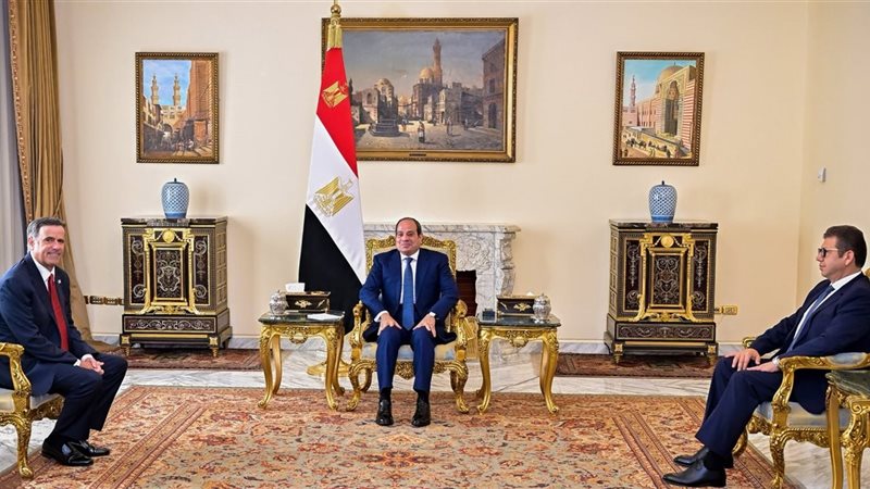الرئيس السيسي، فيتو