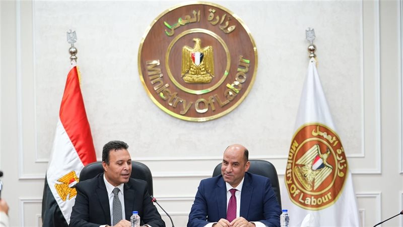 وزير العمل يلتقي