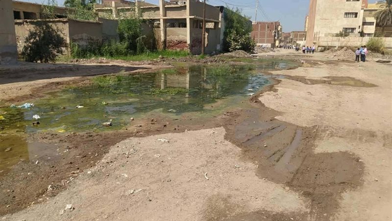  محافظة الشرقية