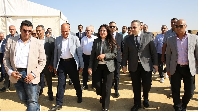 راندة المنشاوي 