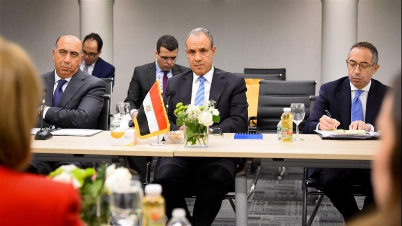 الدكتور بدر عبد العاطى