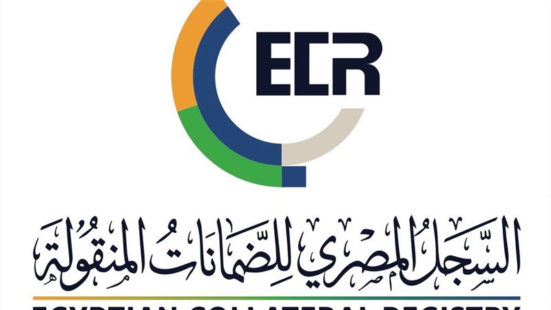  السجل المصري للضمانات
