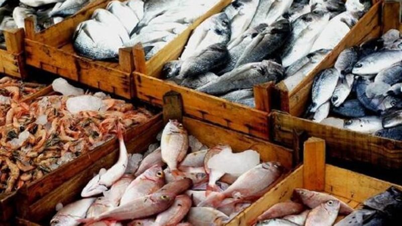 أسعار السمك اليوم،