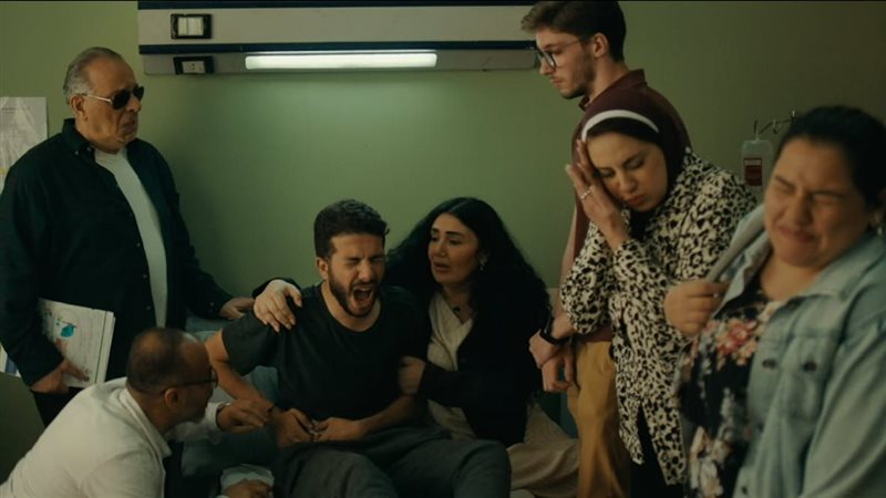 قرار انقسام، فيتو
