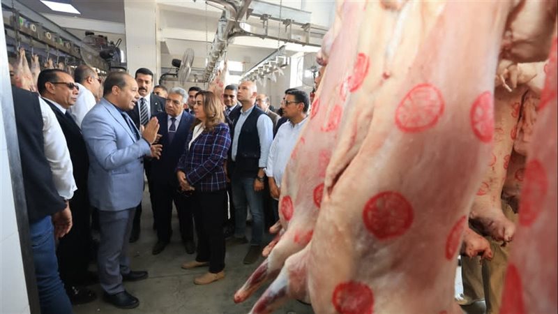 وزيرة التنمية المحلية