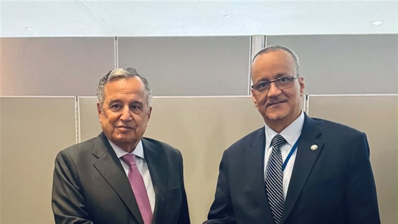نبيل فهمي مع الأمين
