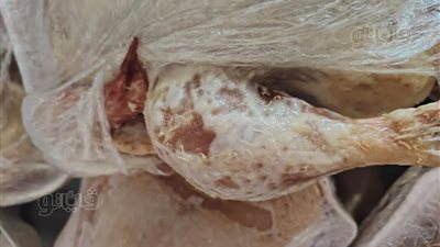ضبط دواجن فاسدة داخل مطعم شهير بحي الزهور ببورسعيد (صور)