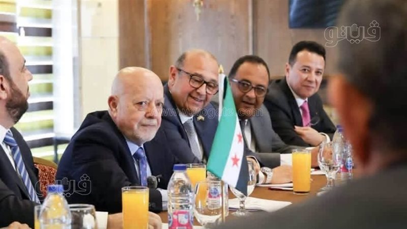 الجانب المصري بمجلس