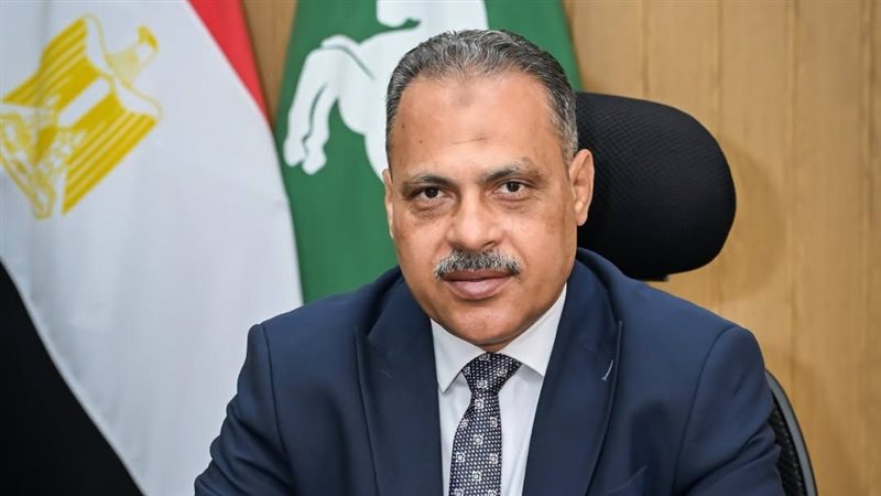 محافظ الشرقية