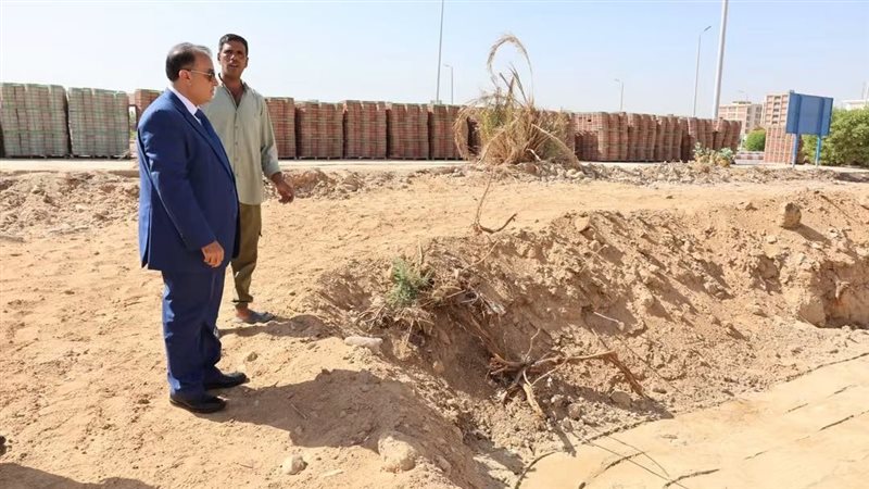 رئيس جامعة قنا يتفقد