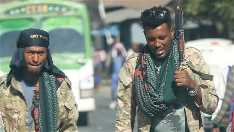 قوات تيجراي، فيتو