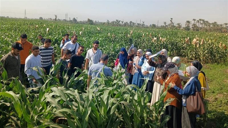  برنامج تدريبي حول