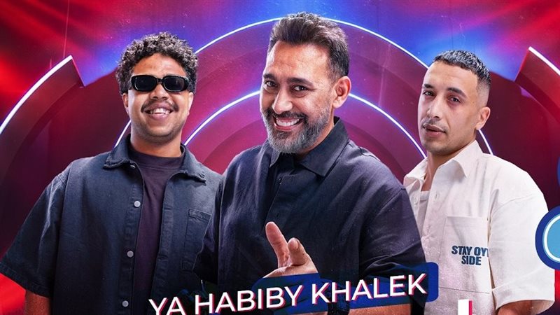 عمرو مصطفى وحمو المرشدي