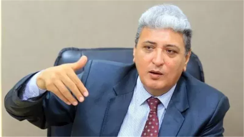 علاء شلبي، رئيس المنظمة