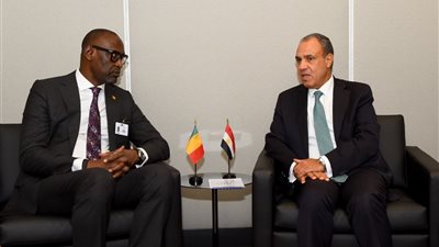 وزير الخارجية يلتقي نظيره المالي لبحث سبل تعزيز العلاقات الثنائية وتطورات الأوضاع في منطقة الساحل  
