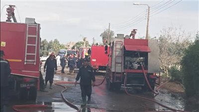 خسائر تقدر بـ 10 ملايين جنيه وإصابة إطفائي في حريق هائل داخل مخزن بلاستيك بطنطا (صور) 