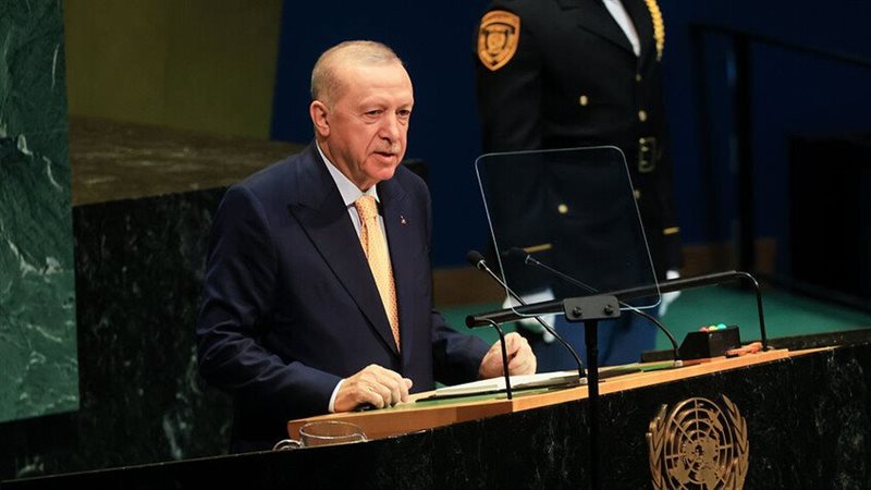 أردوغان، فيتو 