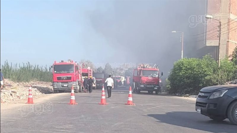 حريق، فيتو