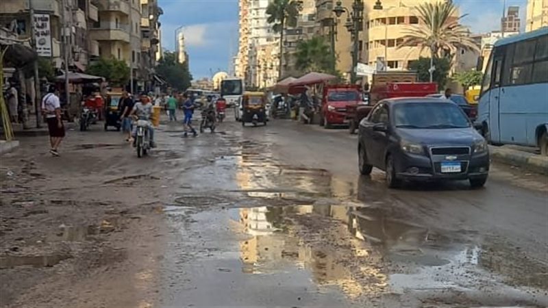 الإسكندرية 