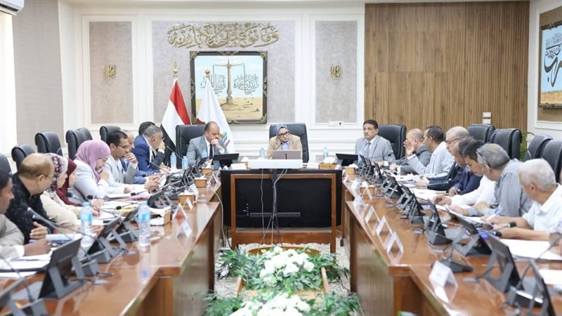 اجتماع الوادي الجديد