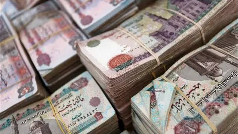 أموال المستريح 