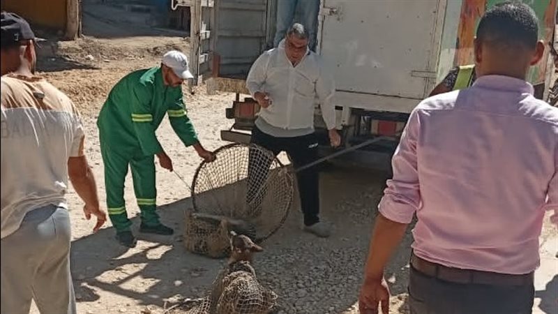 التعامل مع الطلاب