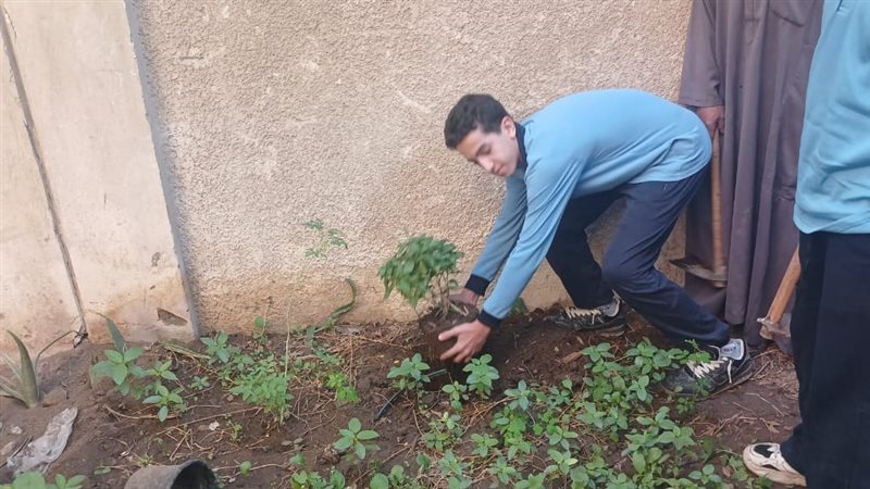 زراعة النباتات 