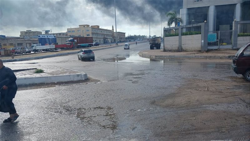 الاسكندريه 