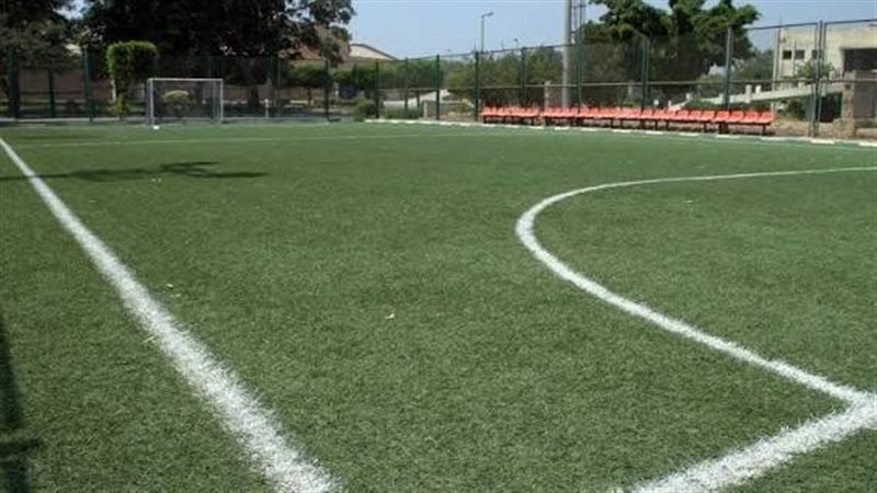 ملاعب النجيل الصناعي