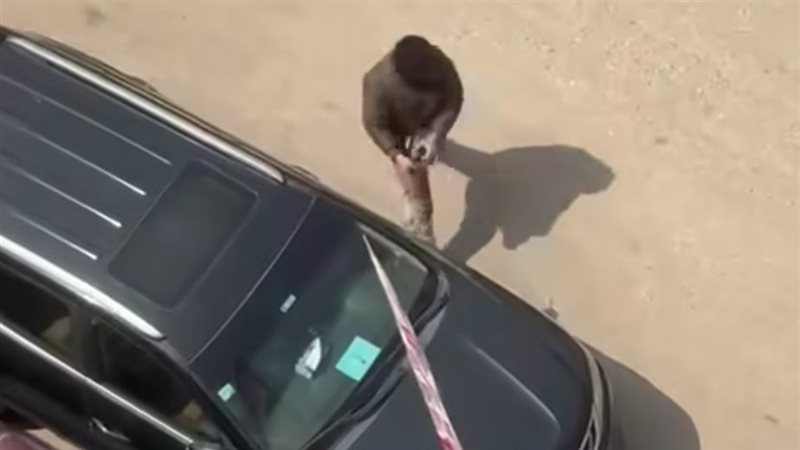المتهم، فيتو
