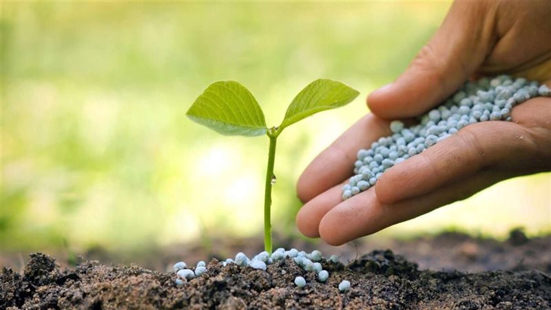 أسعار السماد اليوم،