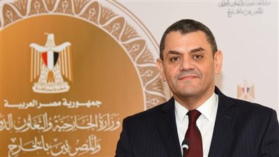 متحدث الخارجية: ادعاءات التشكيك في التزام مصر بسيادة الدول ووحدة أراضيها والعدم سواء  
