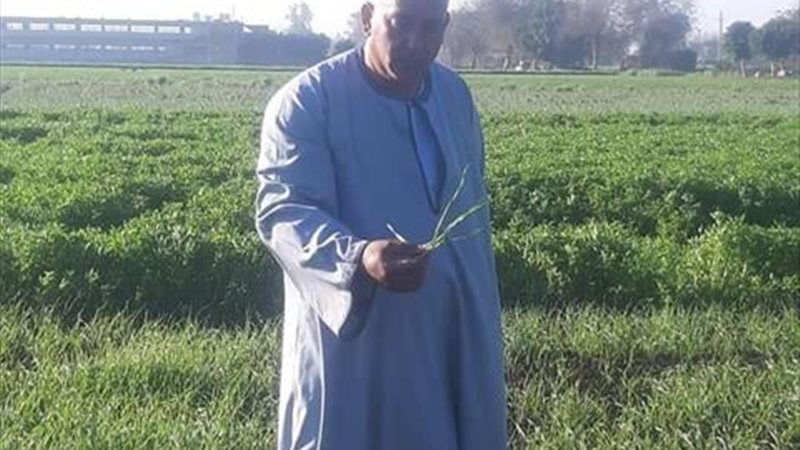 أحسن فلاح في مصر،