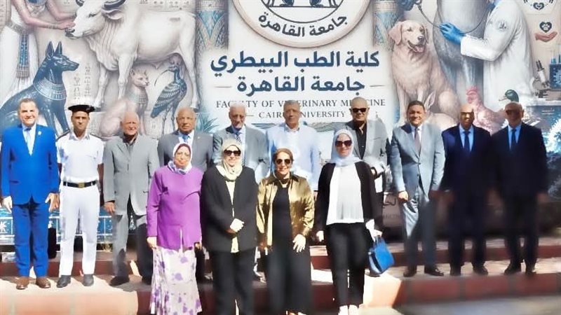 لجنة البورد المصري