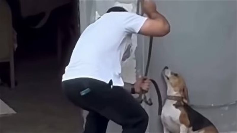 شاب يعذب كلبا في