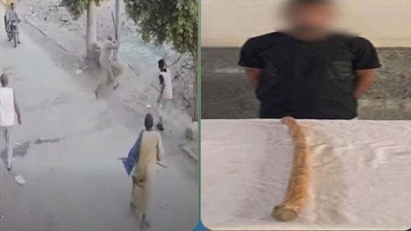 مشاجرة بالعصي بأسيوط