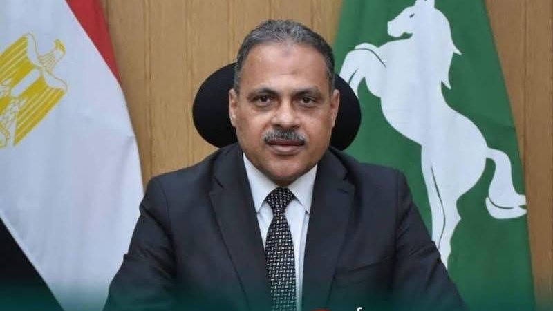 محافظ الشرقية 