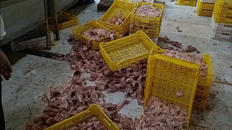 ضبط الدواجن الفاسدة